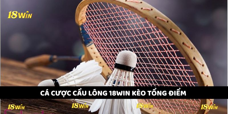 Cá cược cầu lông 18WIN với kèo tổng điểm