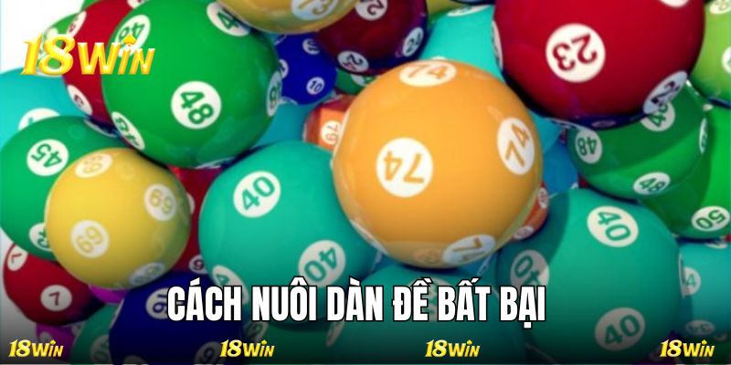 Một số cách nuôi dàn số đề hiệu quả bạn hãy áp dụng 